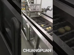 آب نارگیل چگونه تولید می شود؟ بیایید کار کارخانه نارگیل را ببینیم