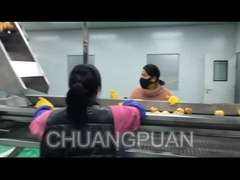 چگونه آب میوه در کارخانه تولید می شود؟ بیایید ببینیم که خط پردازش آب انگور در حال کار است.