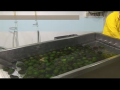 چگونه به پردازش HPP یا کول آووکادو پالپ اجازه دهید