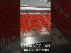 ميدوني آب گندم دريايي چطور توليد ميشه؟ بيا با هم ببينيم