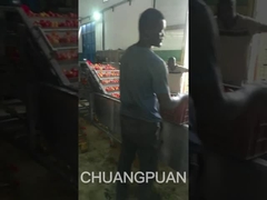 بیایید بریم و یک خط تولید خمیر گوجه فرنگی متوسط در آفریقا را ببینیم